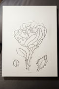 American Rose Paint Kit